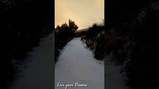 Amanecer en el Paraíso Nevado ❄️ Tranquila Caminata en un Paisaje Invernal 🌄