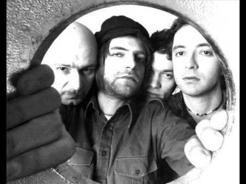 Bludinvidia - Sterile