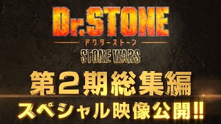 アニメ『Dr.STONE』