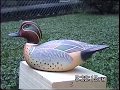 Ward Replica Greenwing Teal by Thomas McCollum