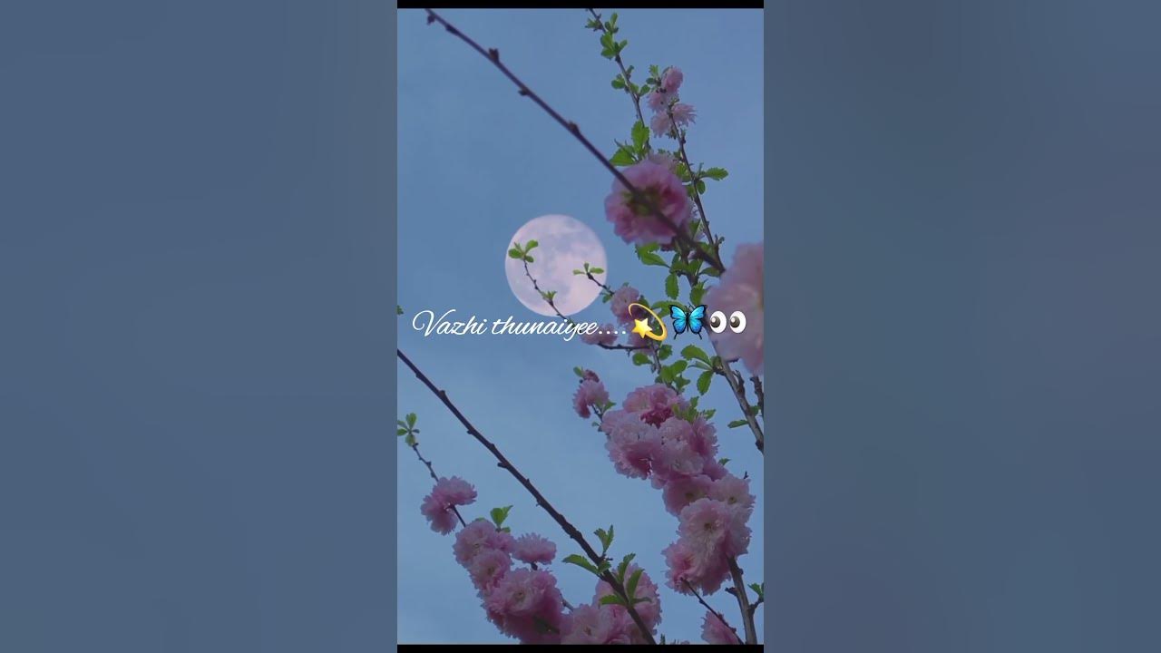 vazhi thunaiyee👀💫🫠songs#love#songs#Editing#videos#like#dragon#movie#viral#songs#subscribe#