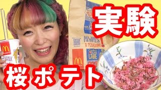 【実験】桜の塩漬けでシャカシャカポテト【マクドナルド】Cherry Blossom flavored McDonald fries