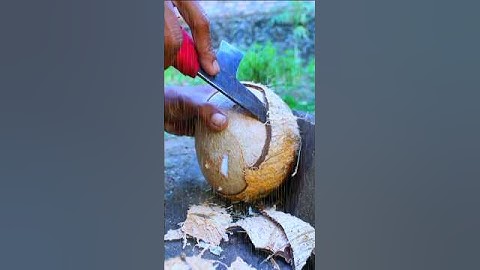 Amazing skill! remove coconut from Shell