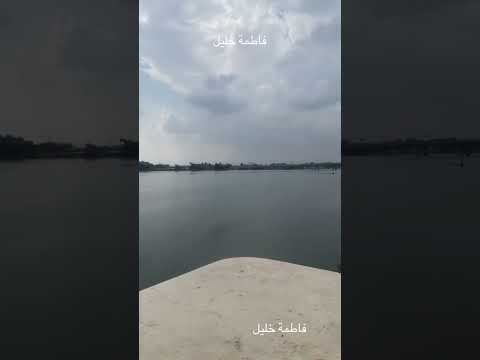 اخرج م البيبان الحره الضيقة الكون صابح جميل والدنيا مروقه فاطمة خليل بنت اسكندرية شوارعنا