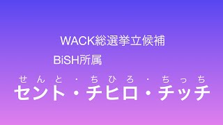 WACK総選挙立候補者政見放送　BiSH所属　セントチヒロ・チッチ （2017）