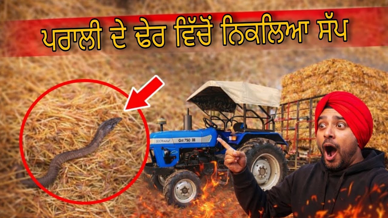 ਡੰਪ 'ਤੇ ਕੰਮ ਦਾ ਆਖਰੀ ਪੜਾਅ - ਨਵਾਂ ਟਰੈਕਟਰ ਤੇ ਪੂਰੀ ਮੌਜ Vlog Day 31 MB OSHO blogger