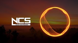 PLEEG - Spirit [NCS release]