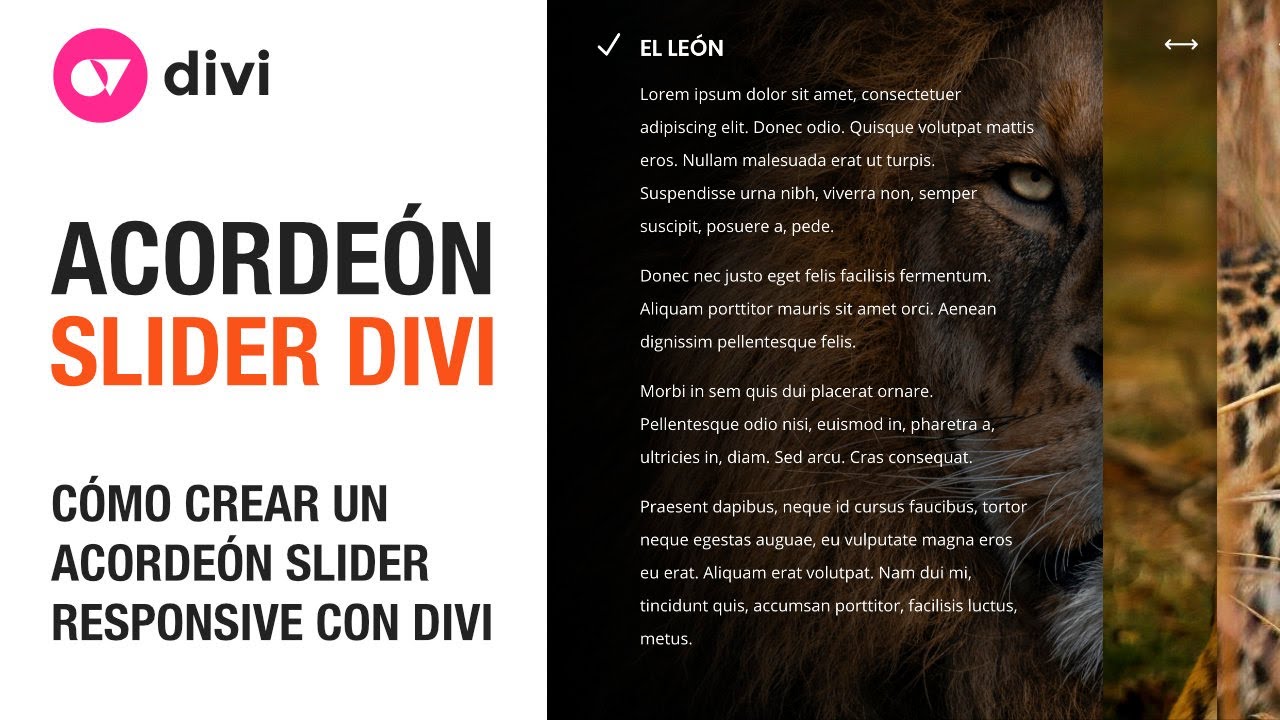 Cómo crear un acordeón slider responsive con divi y wordpress