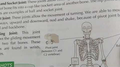 Grade : - V E.V.S Chapter - 2 Bones and Muscles