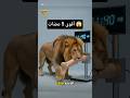 قوة عضة الحيوانات المفترسة داخل الغابة تعرفوا عليها 😱😱