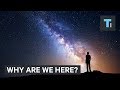 A Physicist Answers Why We Are Here