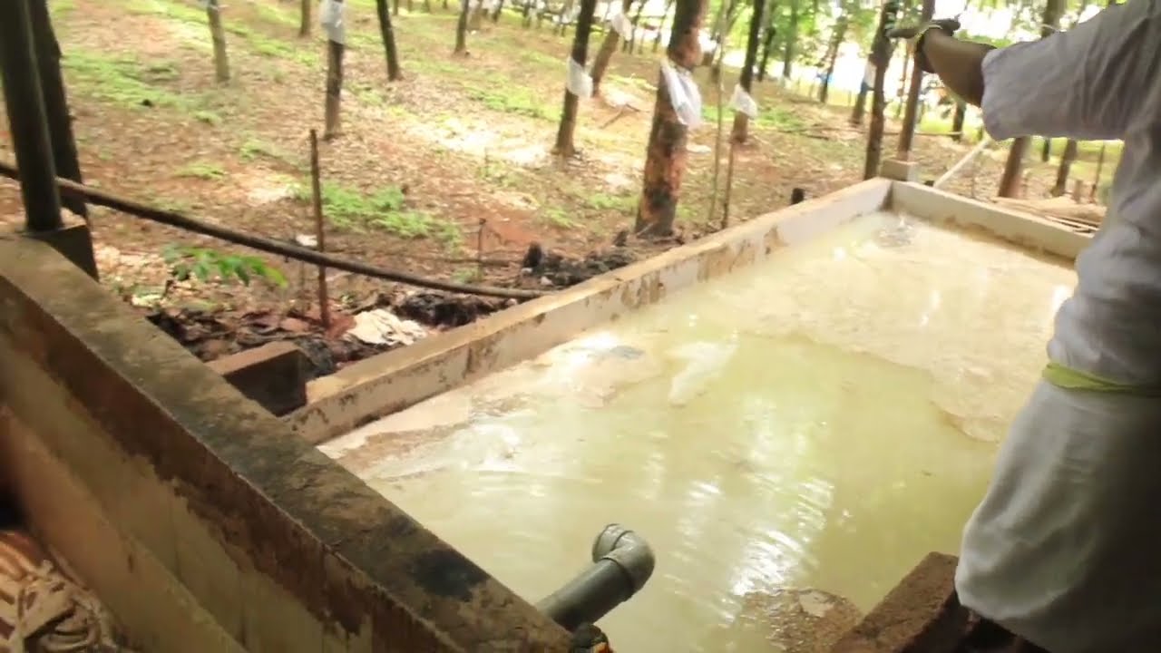 Lohashilpi Rubber Sheeting Machinery to Process 5,000 Sheets per Day