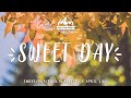 Sweet Day ⛅🌈An Indie/Folk/Pop Playlist | April 2021