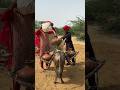 رجل وفتاة من الصحراء يحملان الماء في الجرار على الحمار