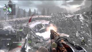 Insane Hitmarker! (BO1)