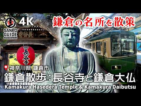 【鎌倉散策】長谷寺から鎌倉大仏を巡る人気の観光コースを歩く 4K|神奈川散歩