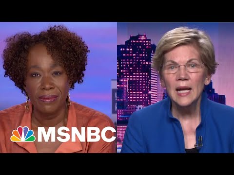 Sen. Warren Says Facebook Did What The Federal Government Failed To Do: Ban Trump | The ReidOut