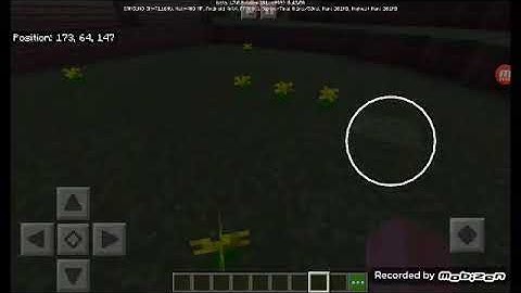 Cách làm bẫy troll noob và pro hiệu quả nhất