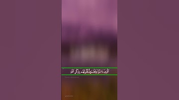 حالات واتساب دينية.. آيات من الذكر الحكيم