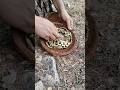 Hidden Treasure Found! #adventure #metaldetecting #treasuresearch #metaldetector #treasuretrove#gold