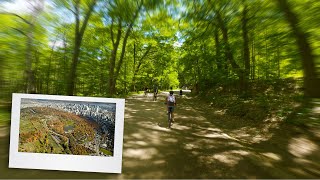 Cycling From Westmount to Mount Royal | Montreal Cycling