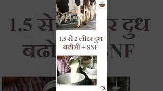 COFS - 29 | डेयरी फार्मों के लिए शानदार उत्पाद | चारा बीज फार्मगुरु