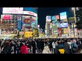 Not a single car honking at the busiest crosswalk in the world  tokyo shibuya crossing japan 