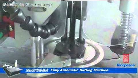 Richpeace Fully Automatic Cutting Machine