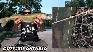 PERSONAL BEST (RIVER WALLEYE)