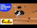 Unique Abilities of Birds