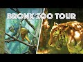 Bronx Zoo Tour (Gorillas, Lions, Monorail, Dinosaur Safari, JungleWorld &amp; More)