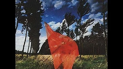 Pink Floyd's Weight of the Stone Full Fan-Album