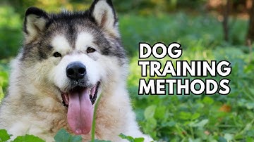 Understanding Dog Training Methods (Operant Conditioning)