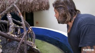 As Aventuras do Richard no Paraná: Aquário de Paranaguá screenshot 2