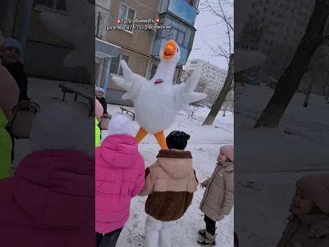 Девочки не ожидали такого гостя 💥 из-за угла появился гусь-обнимусь 🔥 #гусьобнимусь #гусьволжский