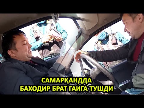 БАХОДИР БРАТ САМАРҚАНДДА ГАИГА ТУШДИ