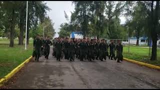 Las Alas Son Doradas