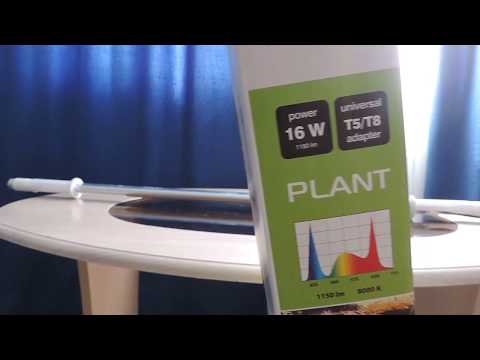 Aquael leddy tube retro fit PLANT 16W Мой обзор