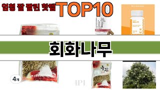 가장 많이 팔린 회화나무 추천 Top10!
