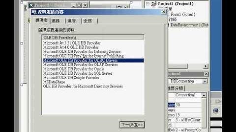 VB6 + DataEnvironment