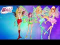 Winx Club - All Transformations From Supporting Characters and Extras!