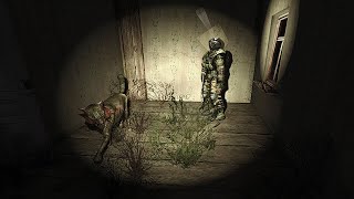 Stalker oblivion lost remake 2.5 Zombie and his cat