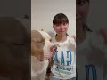 ロッキーと無理やりTikTok笑嫌そうだけど可愛いね💕【TikTok】#shorts