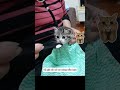 về già đã có bé cưng bầu bạn