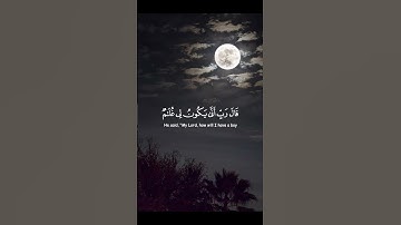 مشاري راشد العفاسي 🌿سوره مريم 🌿 حالات واتس اب 🌿 قرآن كريم