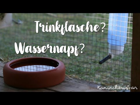 Video: Wie Man Einem Kaninchen Das Trinken Beibringt