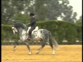 historia nuestros caballos el caballo español parte 2