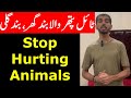 No Respect for Animals | Lack of Education & Family System Awareness | How Pakistanis Treat Animals