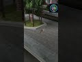 (ir(ULAR #RetroGaming,#GTAFanatics,#TaxiDriverChallenge,#HighSpeedPursuit