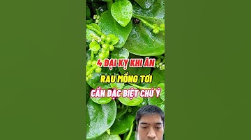 4 Đại Kỵ Khi Ăn Rau Mồng Tơi Cần Đặc Biệt Chú Ý #raumongtoi #songkhoemoingay